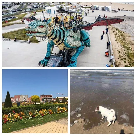Bundle 12 Person - Parking, Station, Beach *